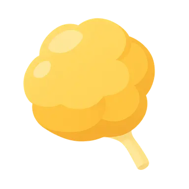 Corpus luteum function