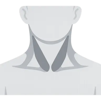 Triangles of the Neck
