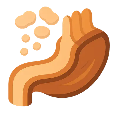 Protein digestion and absorption