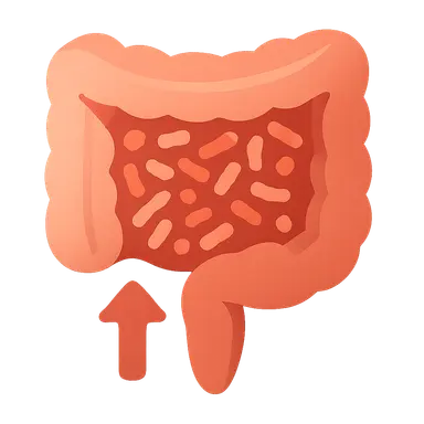 Probiotics and Microbiome Modification