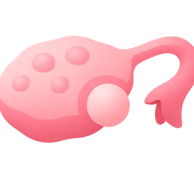 Ovulation physiology