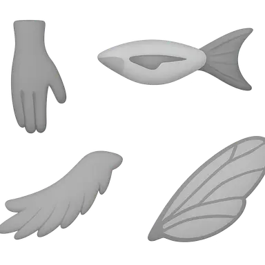 Homologous and Analogous Structures