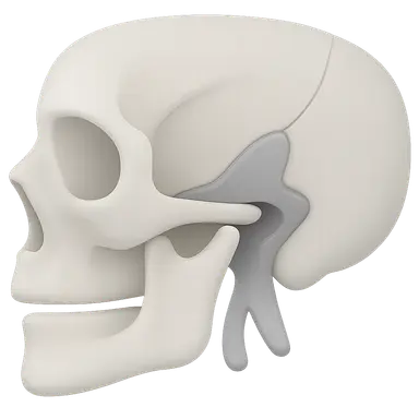 Pterygopalatine Fossa