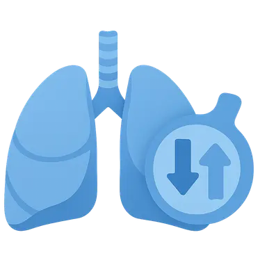 Gas Exchange in the Lungs