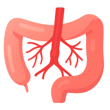 Mesenteric Vascular Disease