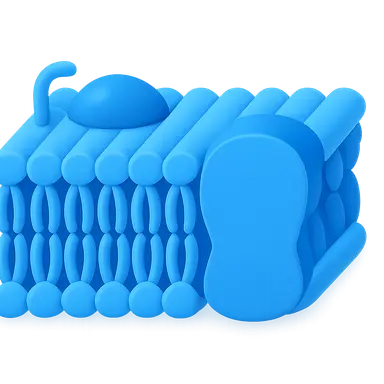 Cell Membrane Structure and Function