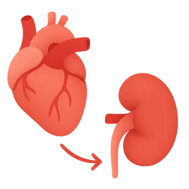 Cardio-renal syndrome