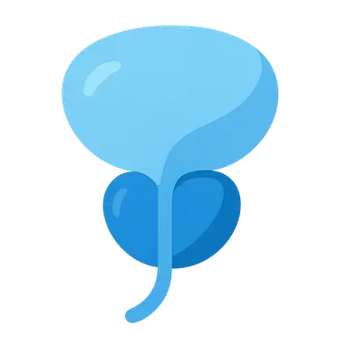 Prostate surgery basics