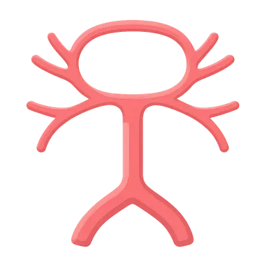 Vertebrobasilar system