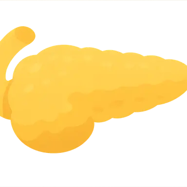 Pancreatic Exocrine Function