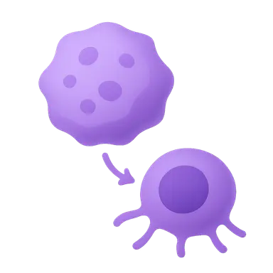 Tumor Immunology