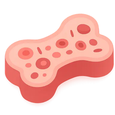 Myeloproliferative neoplasms