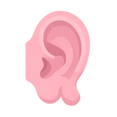 Congenital Anomalies of the Ear