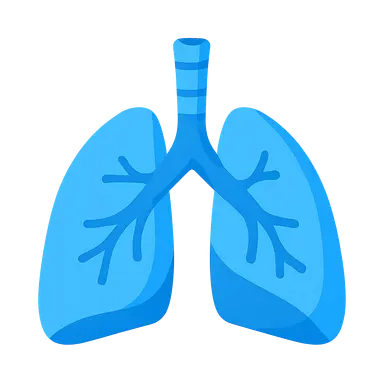 Respiratory System