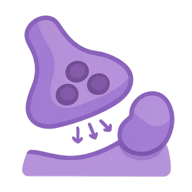 SV2A modulating antiepileptics