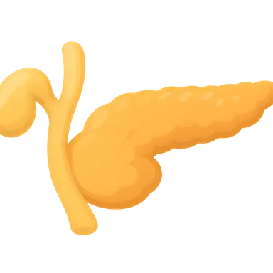 Pancreas development