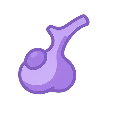 Pituitary Gland Disorders