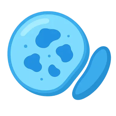 Activator protein deficiencies