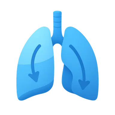 Gravity effects on V/Q distribution