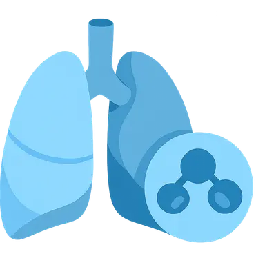 Respiratory acidosis mechanisms and compensation