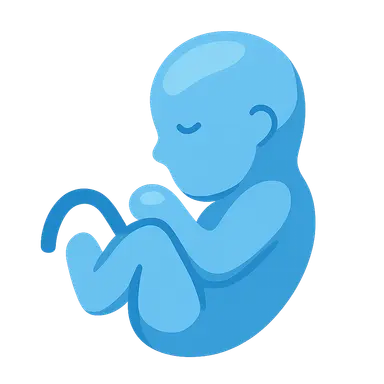 Clinical Aspects of Developmental Anatomy