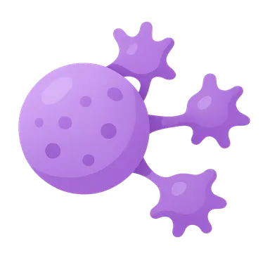 Tumor Immunology