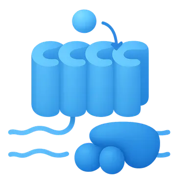 G-protein coupled receptors