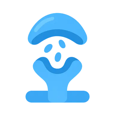 Acetylcholine receptors and function