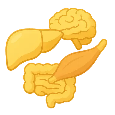 Clinical manifestations by tissue involvement