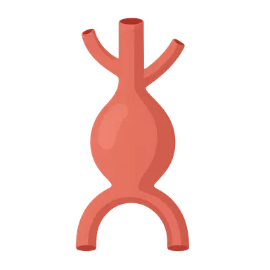 Aortic Aneurysms