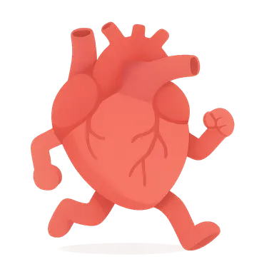 Cardiovascular Responses to Exercise