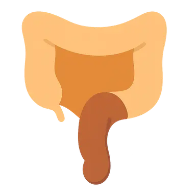 Pelvic Floor Disorders