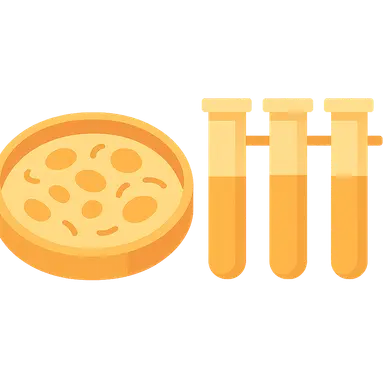 Bacterial identification methods