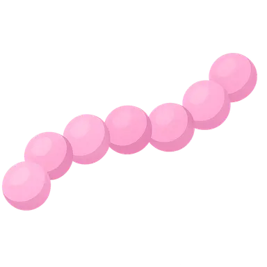 Group B streptococci