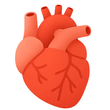 Cardiac rehabilitation