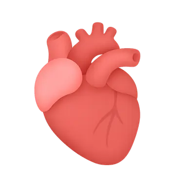 Atrial contribution to cardiac function
