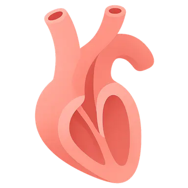Outflow tract septation