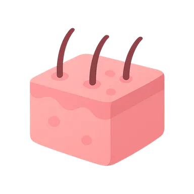 Integumentary system