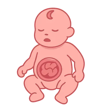 Congenital abdominal wall defects