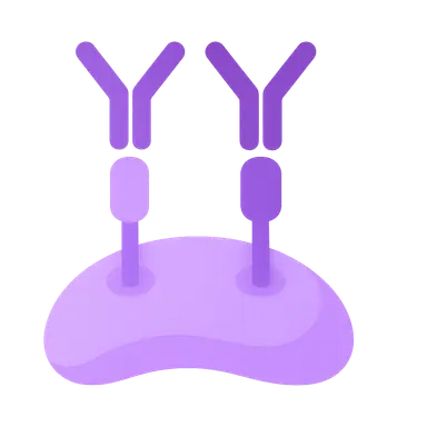 Immune checkpoint pathways
