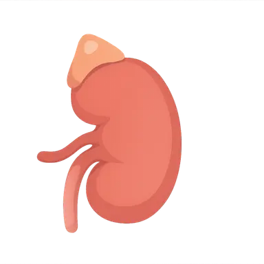 RAAS in pathophysiological states