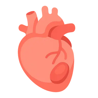 Cardiac complications and evaluation