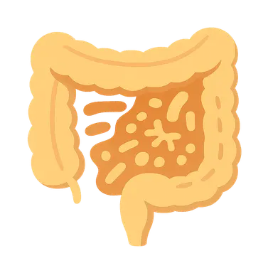 Dysbiosis and Disease