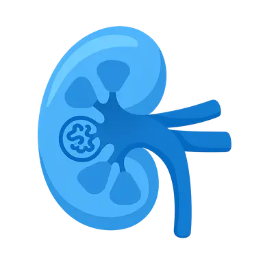 CKD etiology and pathophysiology