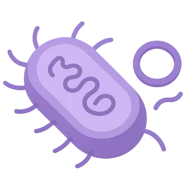 Plasmids and mobile genetic elements