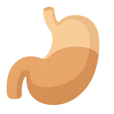 Pathophysiology of Obesity