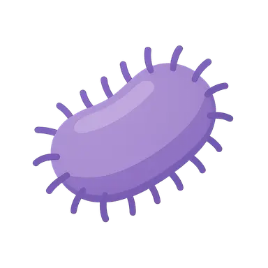 Klebsiella species