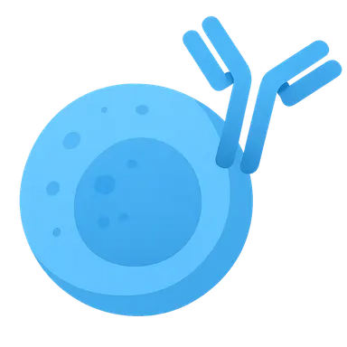 B-cell depleting antibodies