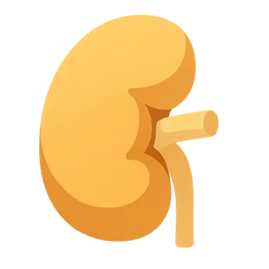 Diabetes complications and screening