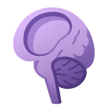 Congenital CNS malformations